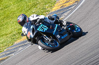 Middle Group Black Bikes